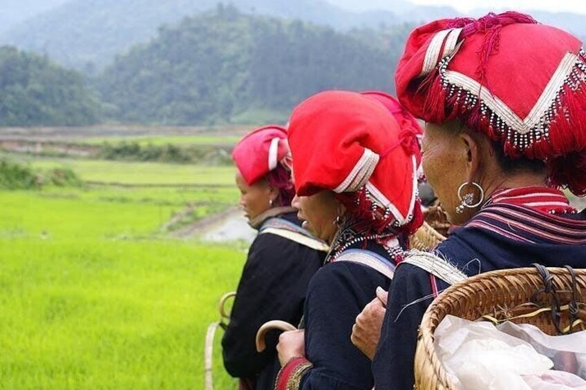 Sapa trek and Halong Bay cruise