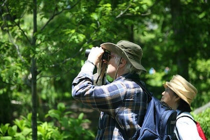 Thattekad Bird Watching Tour