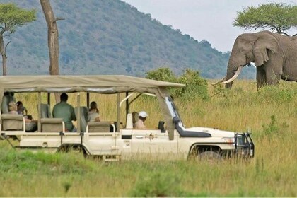 South Africa. Cape Town Tour, Aquila Safari Game Reserve Overnight