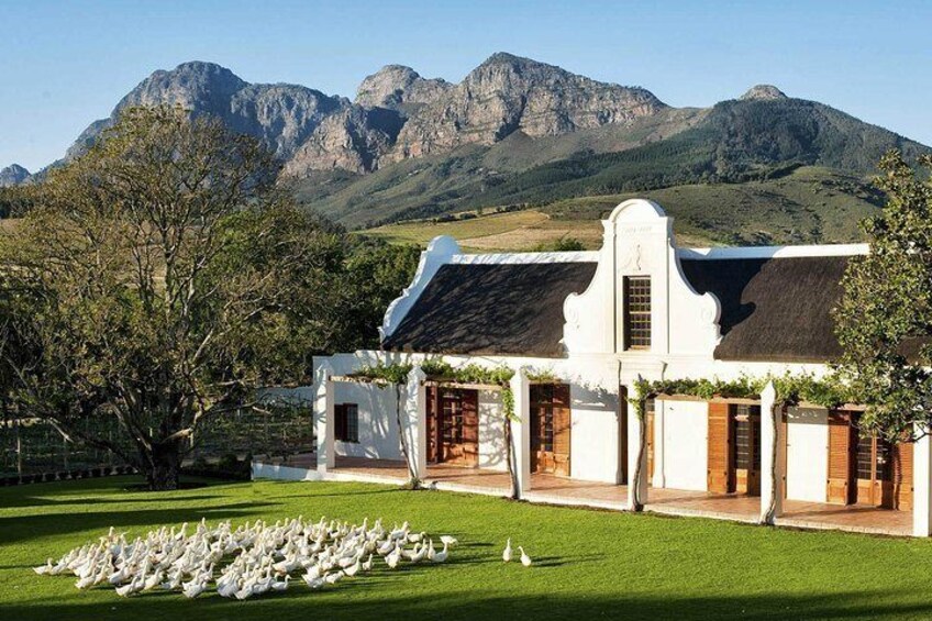 South Africa. Cape Town Tour, Aquila Safari Game Reserve Overnight