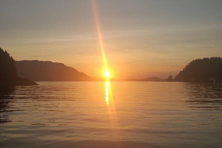 Kayak Tours