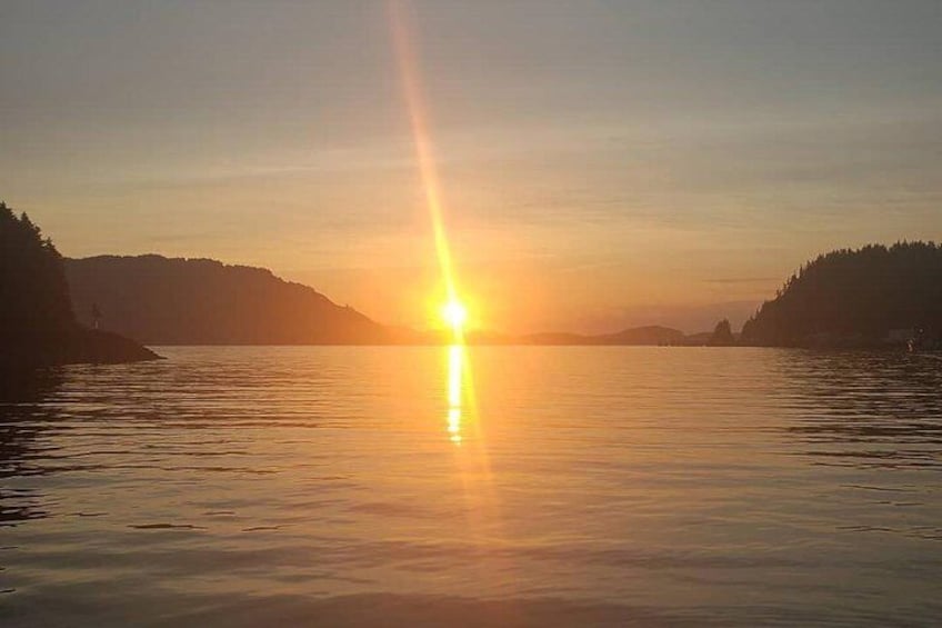 Kayak Tours