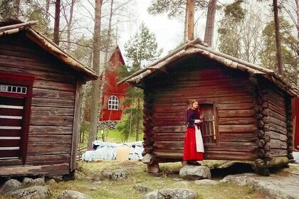 赫爾辛基大遊覽及Seurasaari島博物館