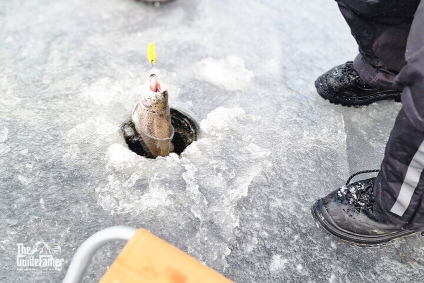 "ICEBREAKER" Ice Fishing VIP Private Tour 