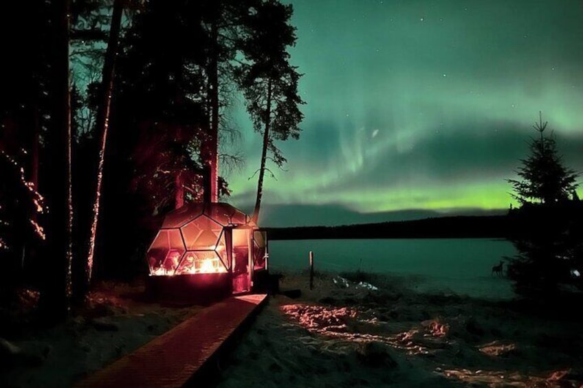 PRIVATE Northern Lights Adventure