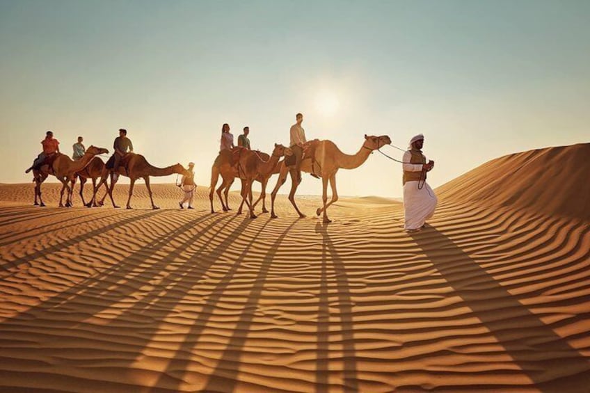 Camel Ride Abu Dhabi 