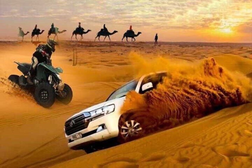 Premium Desert Safari with Camel Ride and BBQ in Dubai