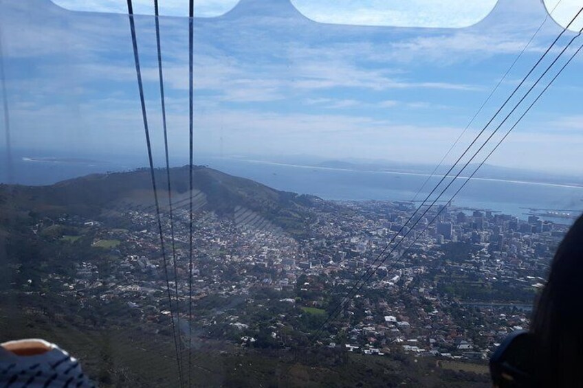 Table Mountain, penguin and Cape of good hope 