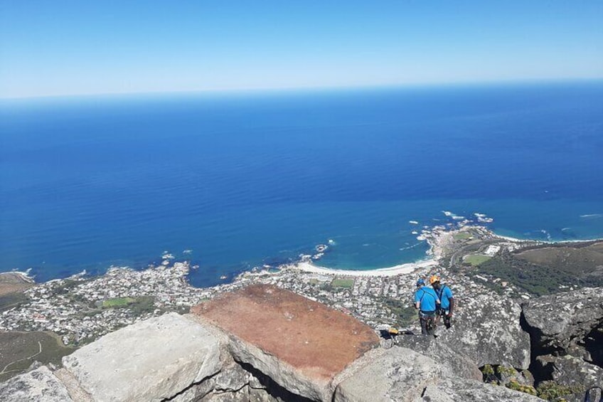 Table Mountain, penguin and Cape of good hope 