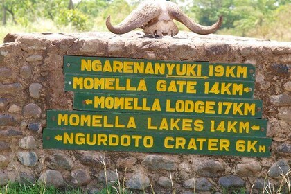 1 Day Private Safari in Arusha National Park.