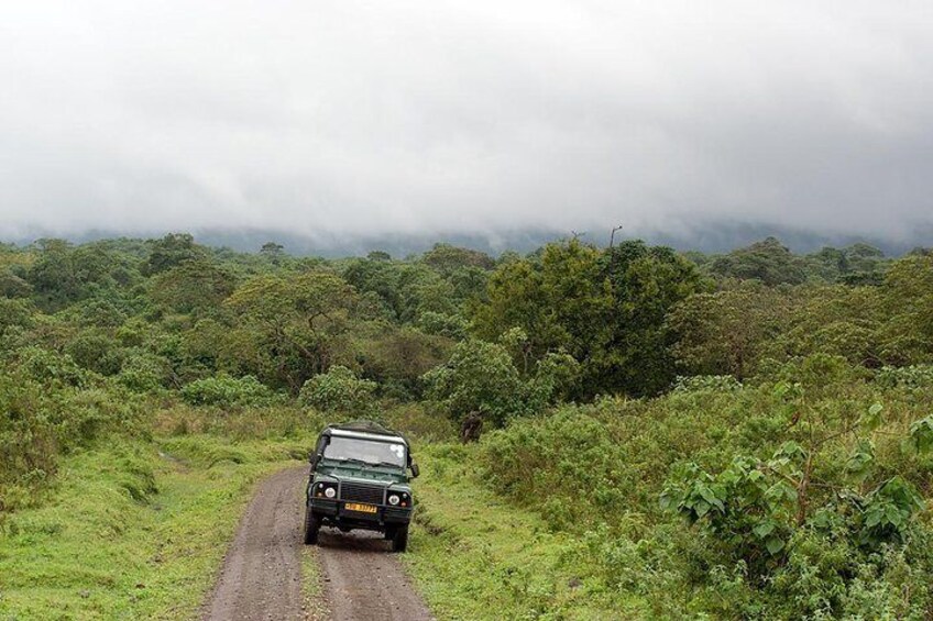 7 Day Joined Safari Serengeti,Ngorongoro,Manyara,Tarangire,Arusha National Park