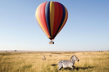 7Days Private Camping Safari Serengeti,Ngorongoro,Manyara,Tarangire,Arusha ...