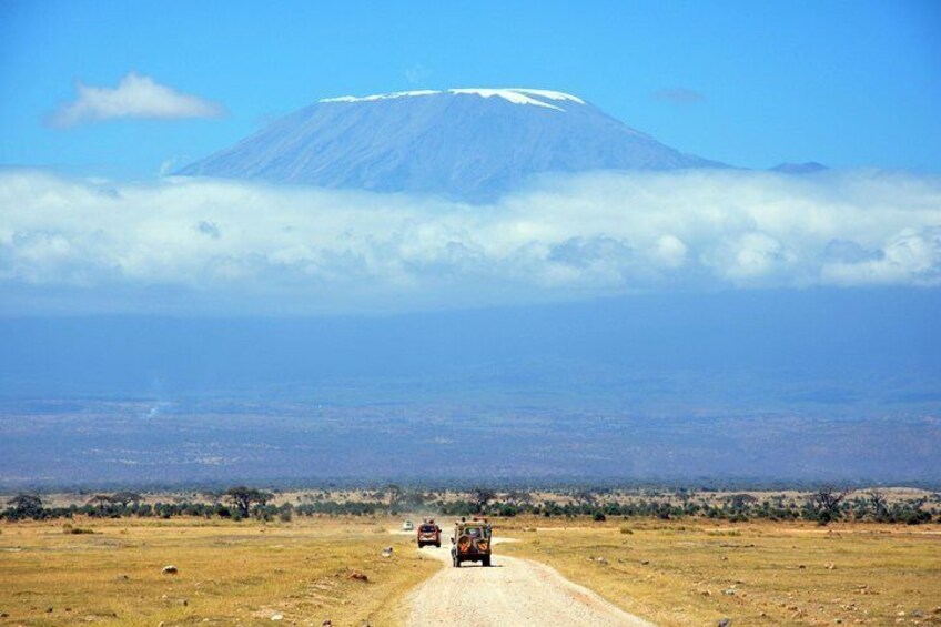 Day trip to Kilimanjaro Hike to Mandara Hut