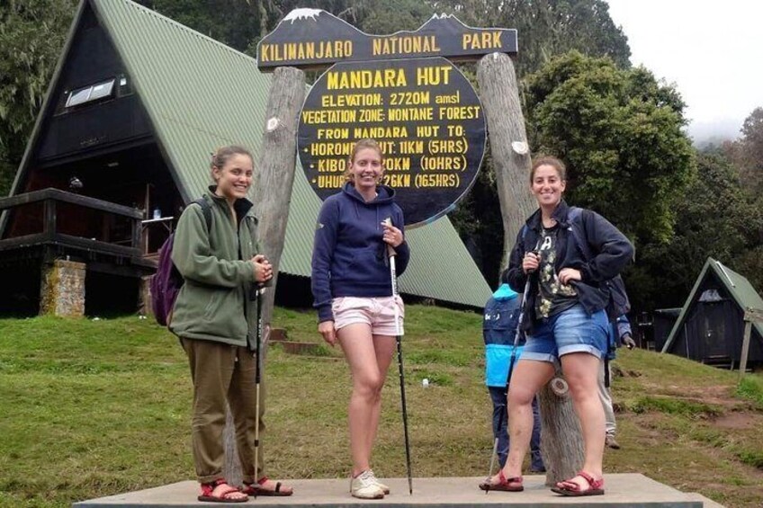 Day trip to Kilimanjaro Hike to Mandara Hut