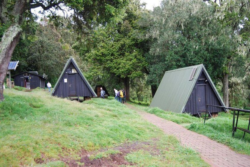 Day trip to Kilimanjaro Hike to Mandara Hut