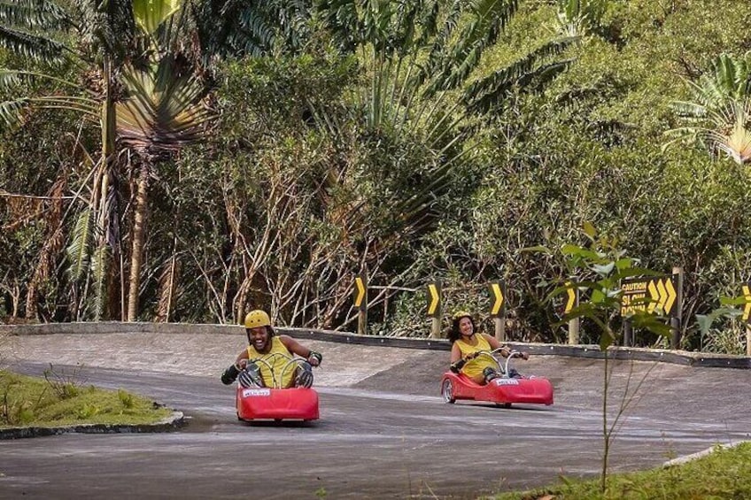 Luge Kart (Optional)