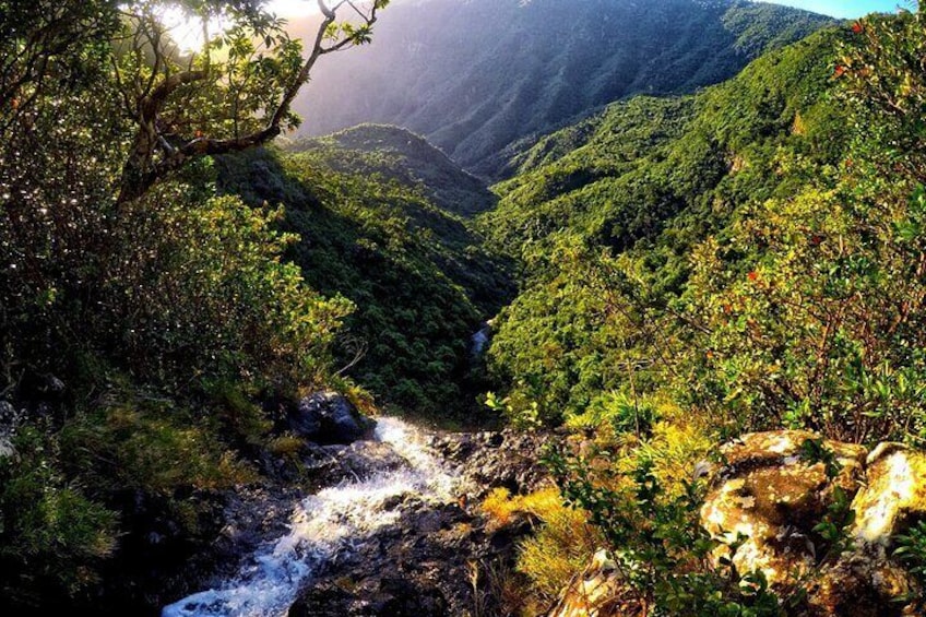 Black River Gorges