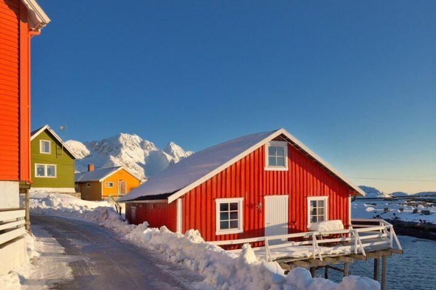 Winter Full-Day Guided Tour of the Lofoten Islands