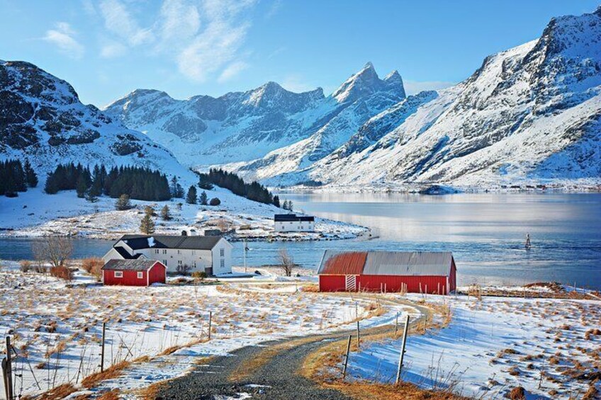 Winter Full-Day Guided Tour of the Lofoten Islands
