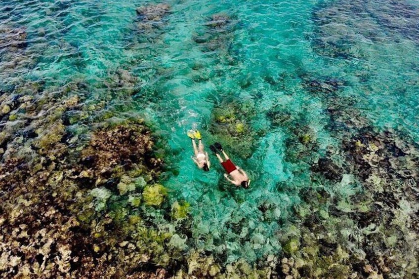 Reef Snorkeling