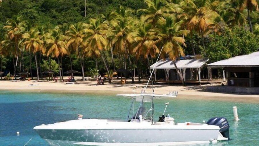 Sonic Charters Private Boat Charter