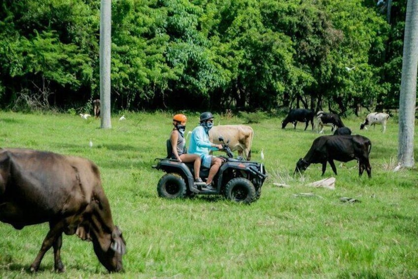 ATV's Fun Tour from Amber Cove or Taino Bay 