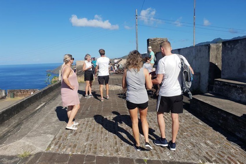 Fort Charlotte, Botanical Gardens Scenic Tour & Beach w/ Topdawg Taxi and Tours