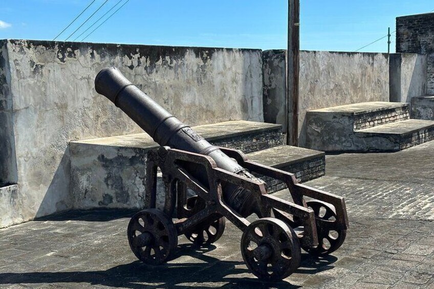 Fort Charlotte, Botanical Gardens Scenic Tour & Beach w/ Topdawg Taxi and Tours