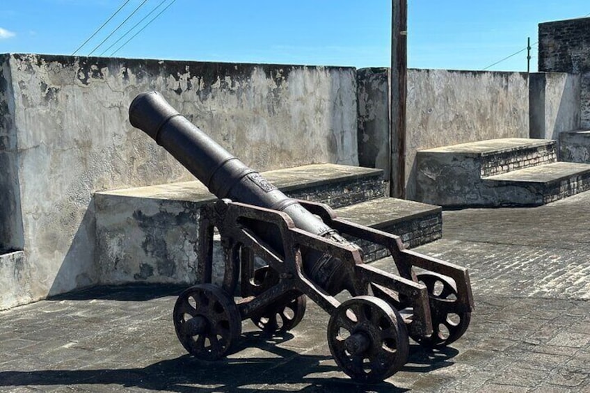 Fort Charlotte, Botanical Gardens Scenic Tour & Beach w/ Topdawg Taxi and Tours