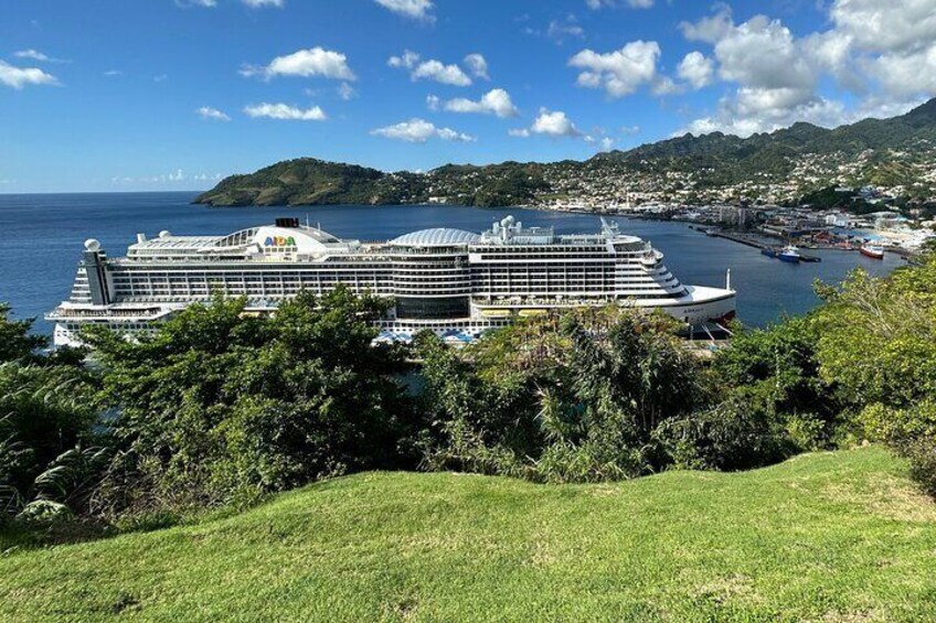 Fort Charlotte, Botanical Gardens Scenic Tour & Beach w/ Topdawg Taxi and Tours
