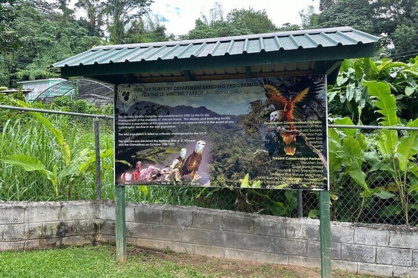 Fort Charlotte, Botanical Gardens Scenic Tour & Beach w/ Topdawg Taxi and Tours