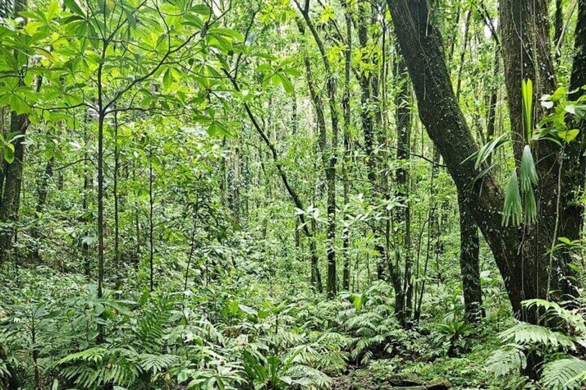 Vermont Nature Trail - Private Tour