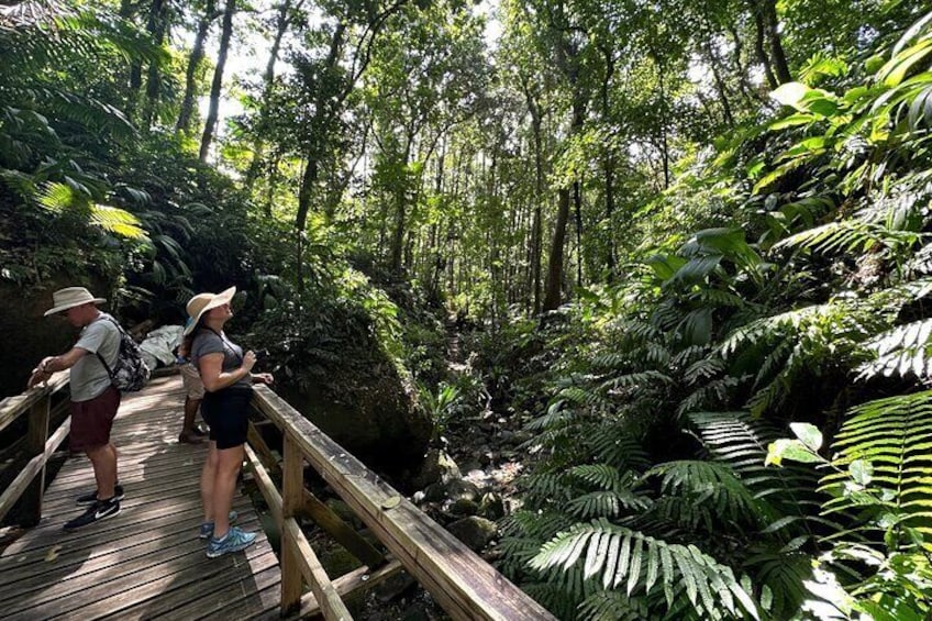 Vermont Nature Trail with Topdawg Taxi and Tours