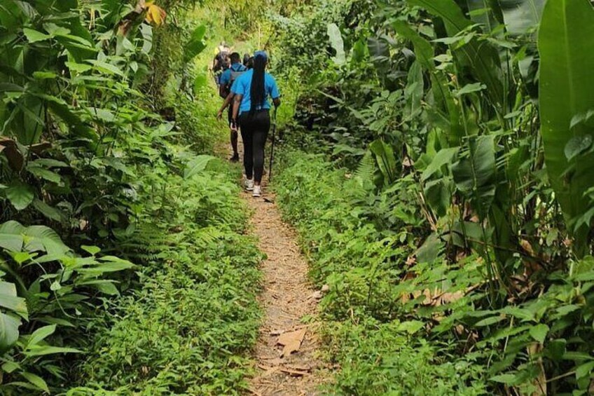 La Soufriere Volcano Hike with Topdawg Taxi and Tours