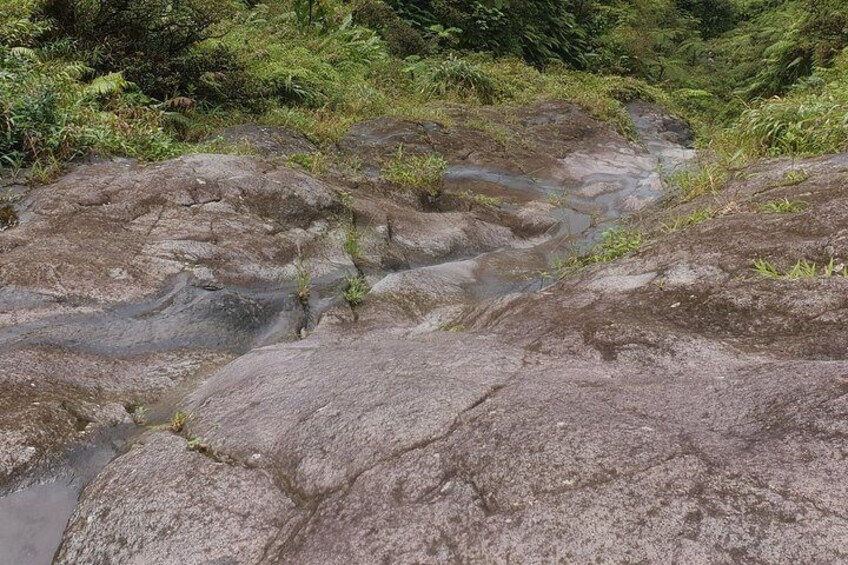 La Soufriere Volcano Hike with Topdawg Taxi and Tours