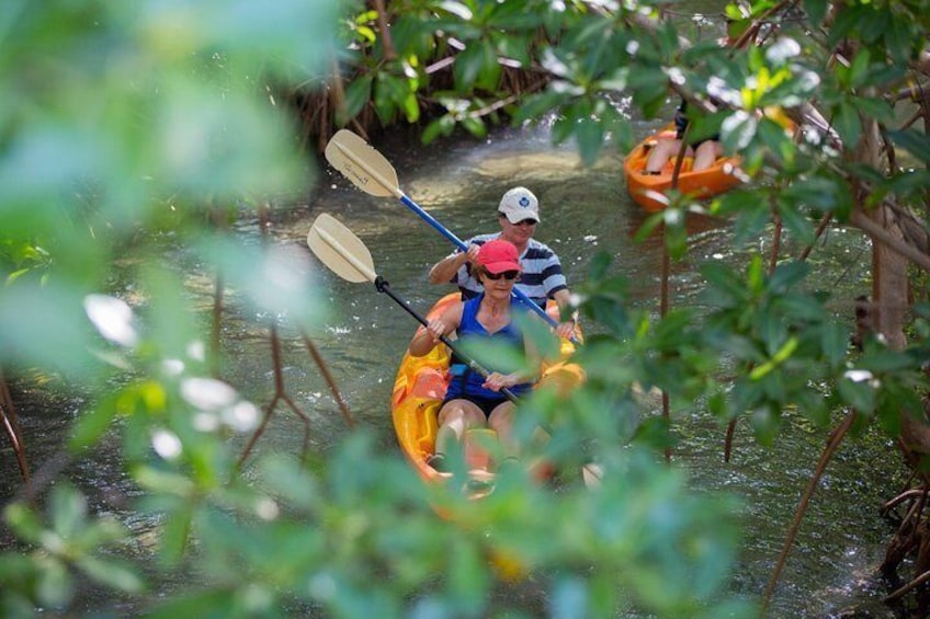 SoCoHo Half Day Jeep Safari- Mangrove Kayak & Reef Snorkeling