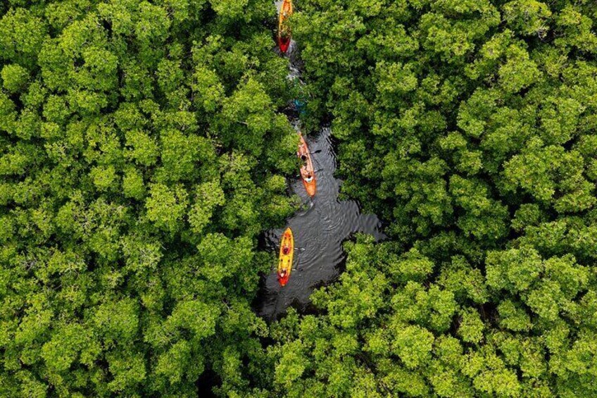 Kayaking 