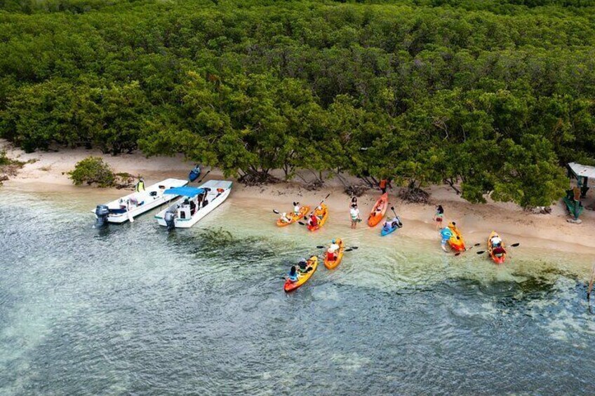 SoCoHo Half Day - Mangrove Kayak & Reef Snorkeling