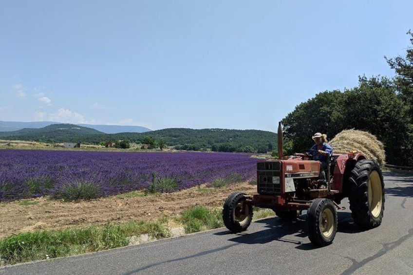 The hilltop villages of the Luberon