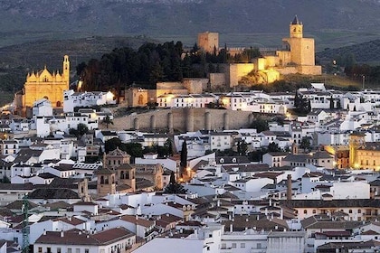 Private ture fra Malaga til Antequera og Dolmens for op til 8 personer