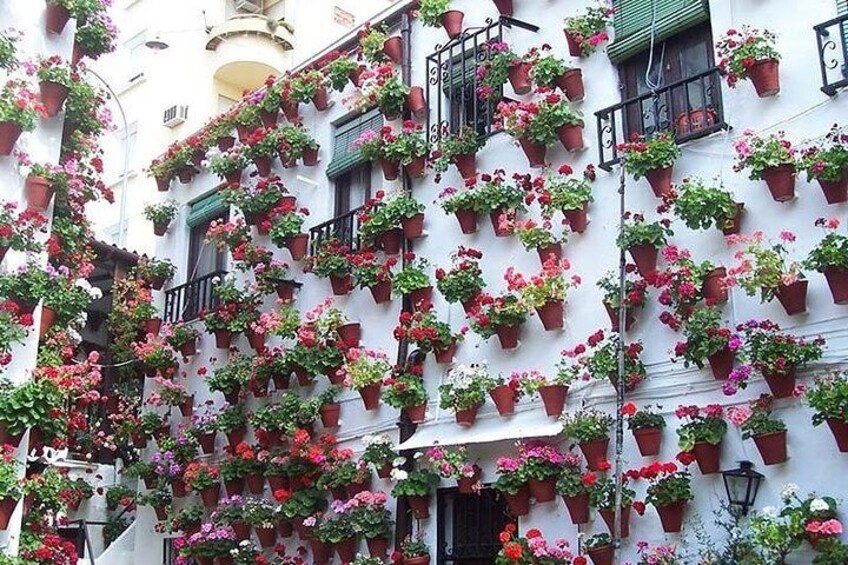 Cordoba day tours