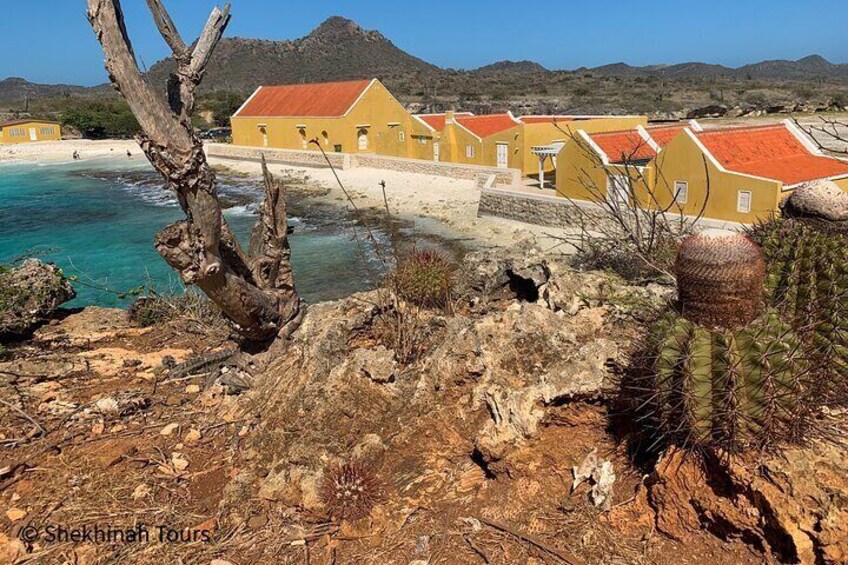 Washington Park Tour with Local Guide on Bonaire