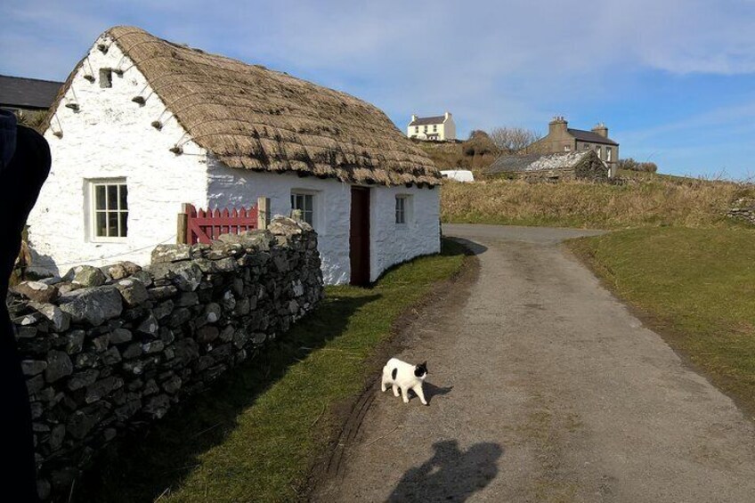 Cregneish Village 