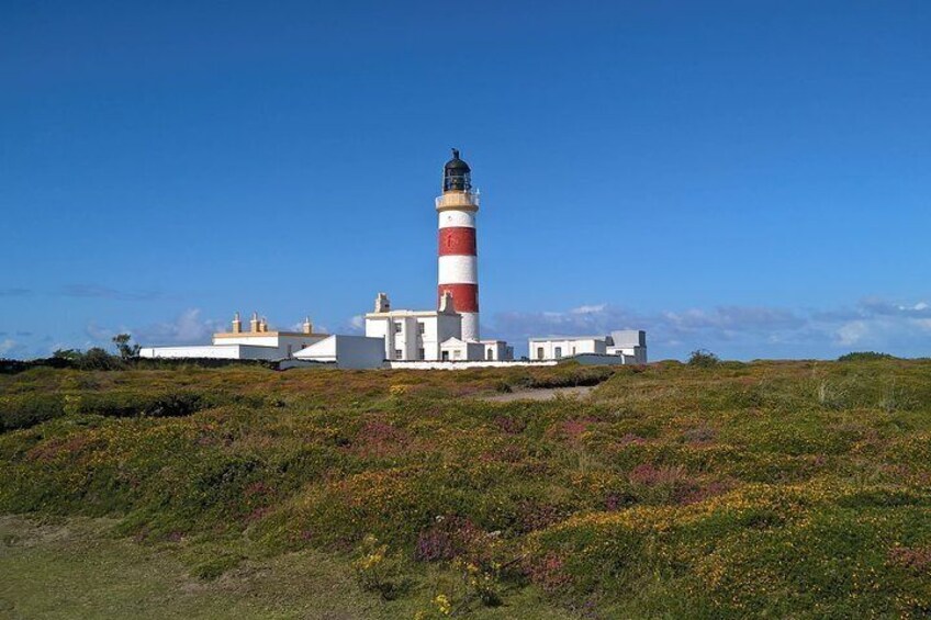 The Point of Ayre 