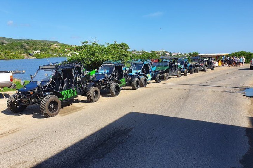 Electric Adventures Buggy Rental