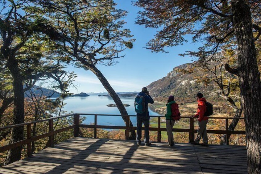 Viewpoint over Lapataia bay