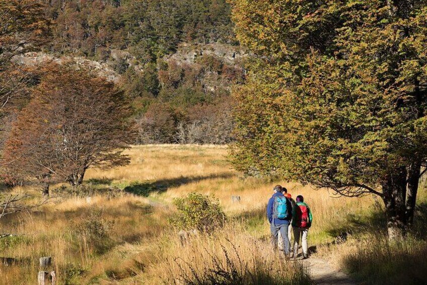 Hiking to Lapataia Bay