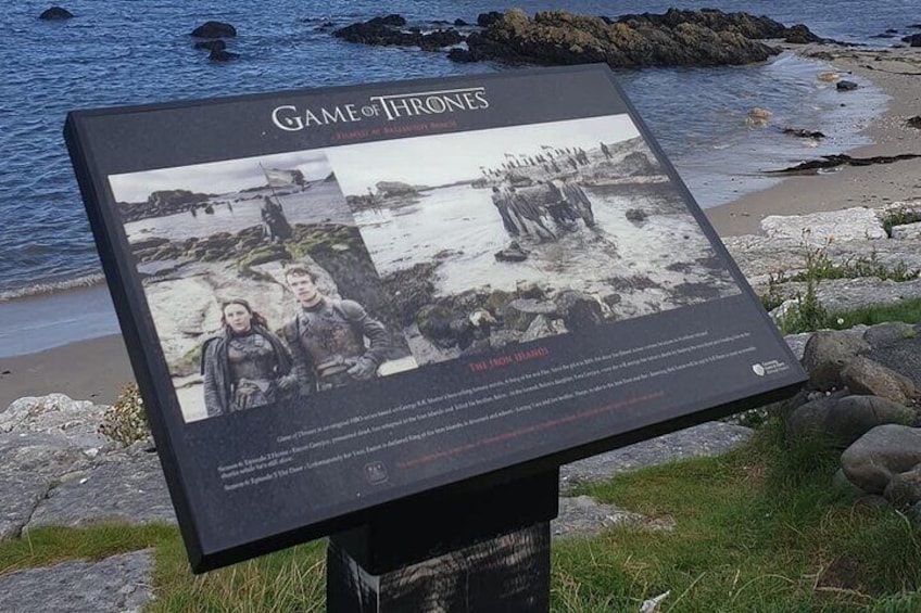 Private Giants Causeway & Coastal Tour from Belfast