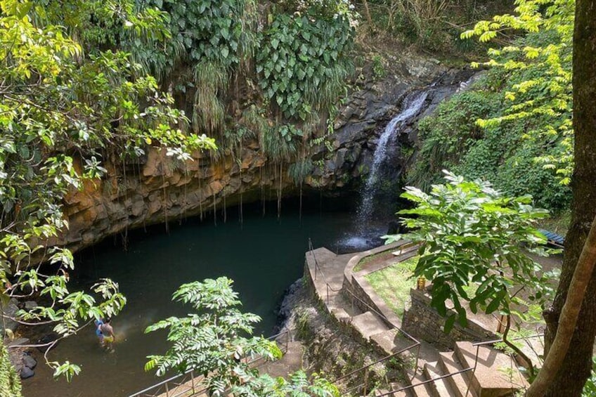 Annandale waterfall & Forest Park 