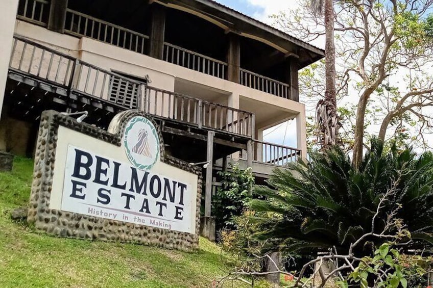 The perfect way to experience the Belmont Estate Private Tour